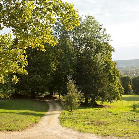La Clairiere De La Reine Hortense - Pierres D'Histoire Saint-Prix  Zewnętrze zdjęcie